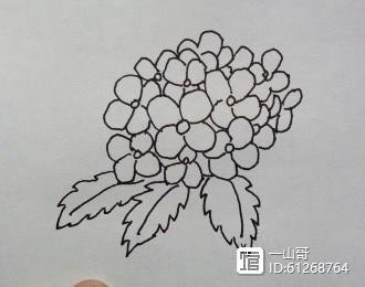 原白描花卉繡球花方法步驟一看就知道畫