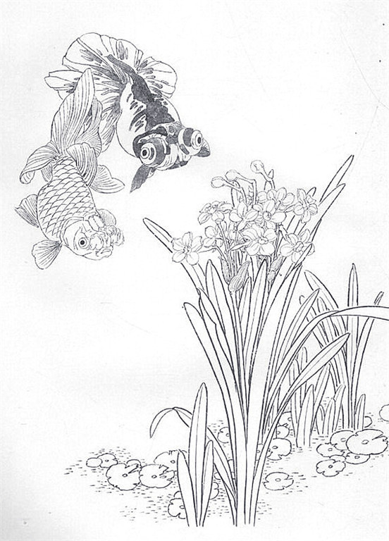 名家白描花鸟之金鱼篇