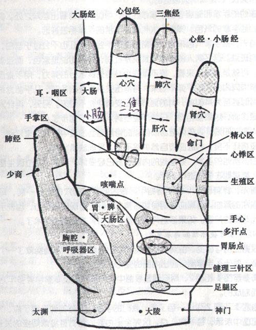 人体手部穴位图高清详解手掌穴位图解大全