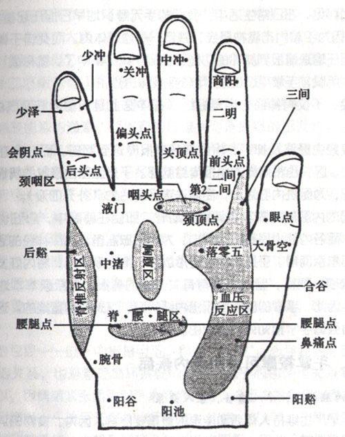 人体手部穴位图高清详解手掌穴位图解大全