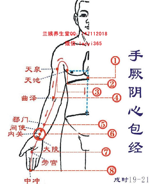 治百病經絡大全身體不舒服了指導你拍哪條經絡