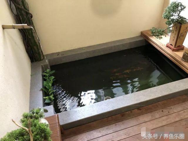 日本室内锦鲤池图片