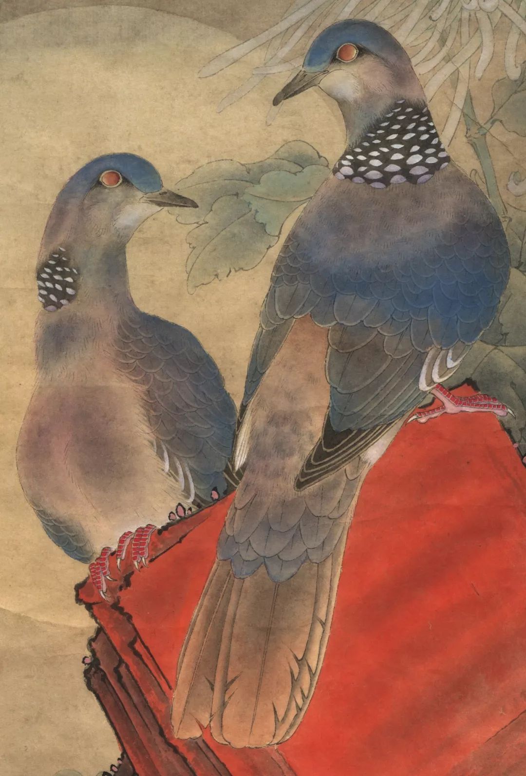 【教程】李晓明 | 斑鸠设色技法(含详细文字解析)