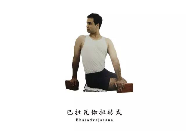 19,巴拉瓦伽扭转式   (bharadvajasana)