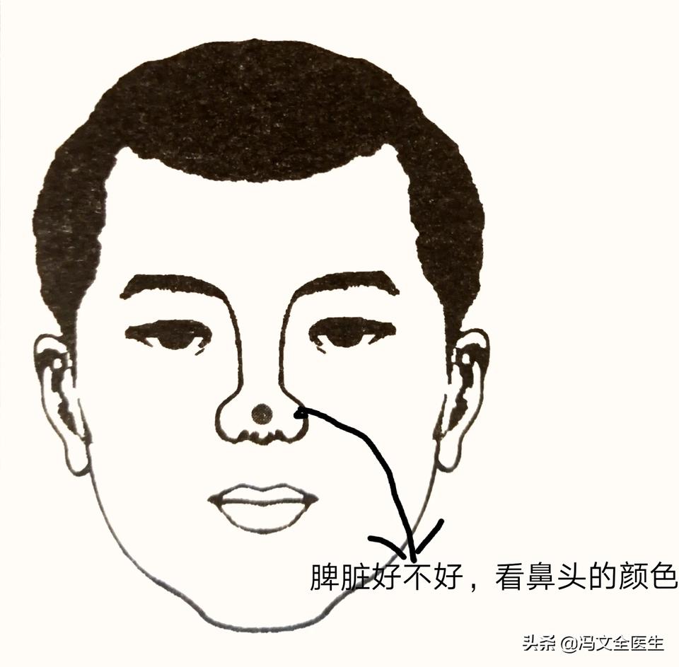 觀鼻知健康咱們來聊一聊鼻子脾胃好不好