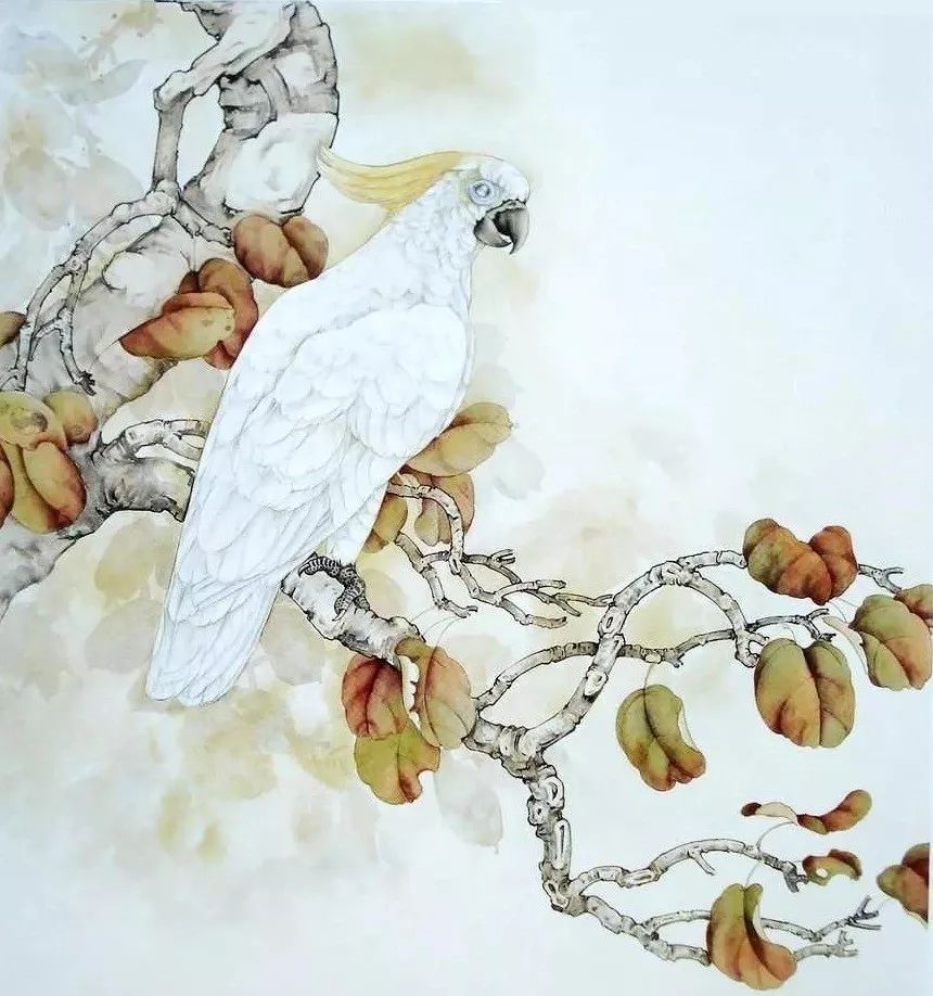 国画教程工笔葵花鹦鹉