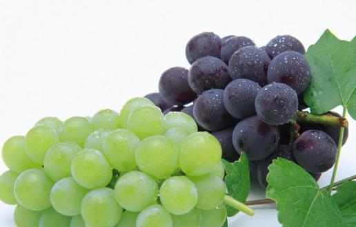 水果营养高盘点清热解毒有营养的水果