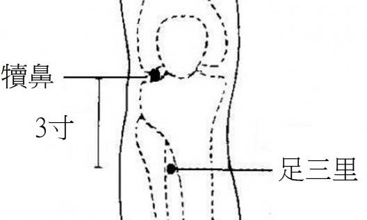 足三里位于小腿外侧,犊鼻下3寸.