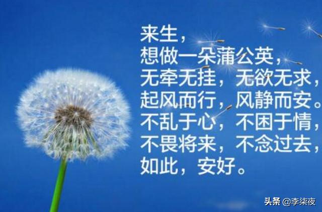 有哪些唯美的短句,会让人安静?-悟空问答