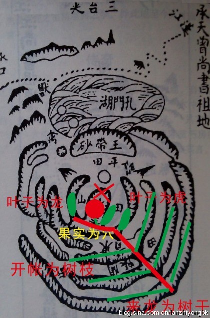 陽氣主升發,陰陽二氣相互依附,在地勢山形有規律變化地方龍脈運行順從