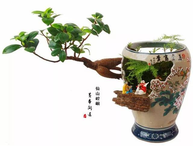 价值上亿的顶级瓶景美得无与伦比