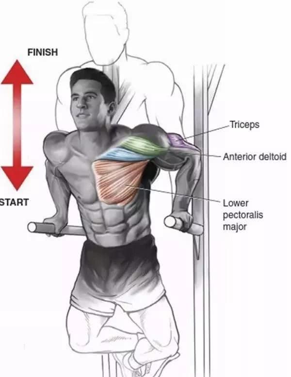 在家虐胸想要胸肌就这么练