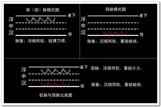 脉诊图解大全28种脉象让你快速掌握脉诊