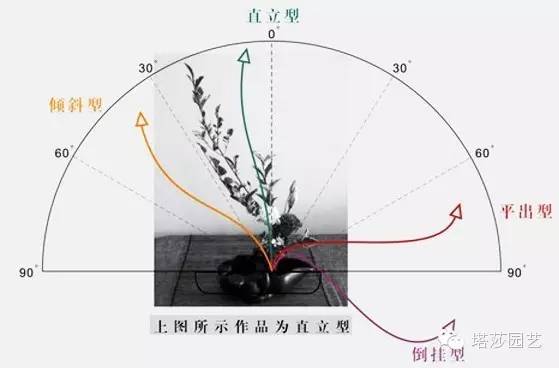 插花的五大构图原理图片