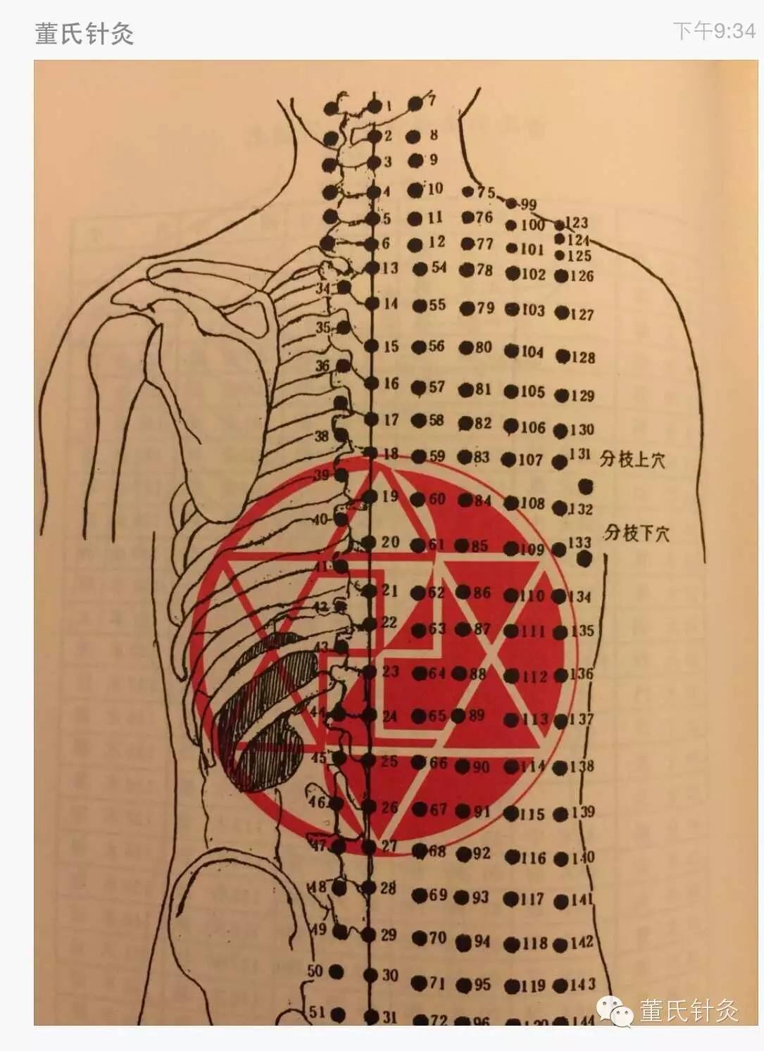 董氏針灸學習班之分枝上穴,分枝下穴