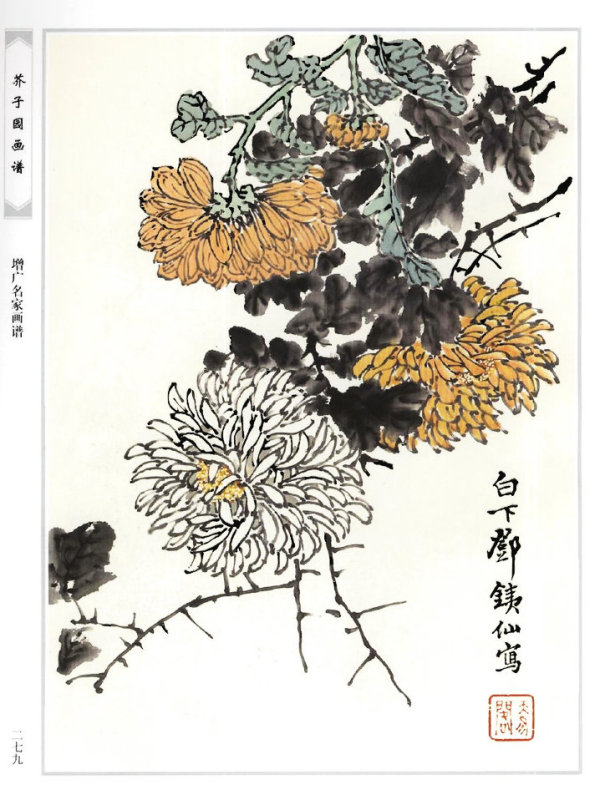 芥子园菊谱芥子园画谱四转载