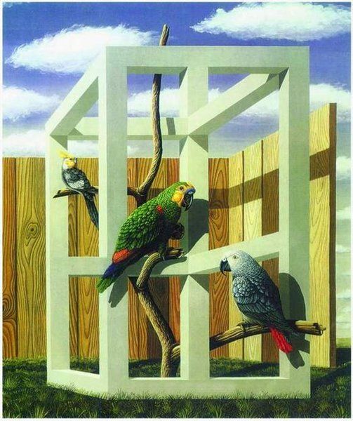 世界上最全的幻觉图转