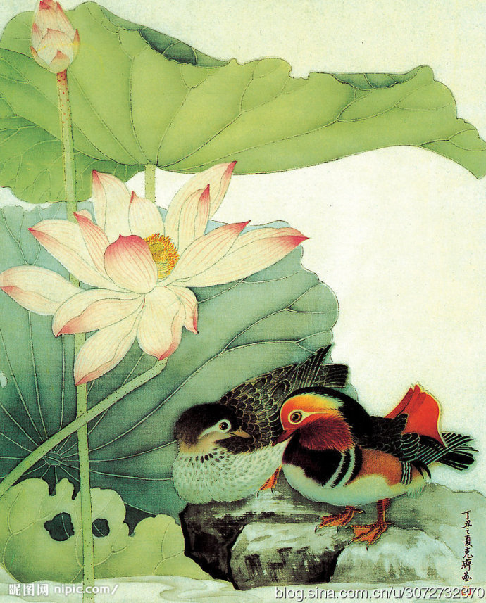 工笔只羡鸳鸯不羡仙