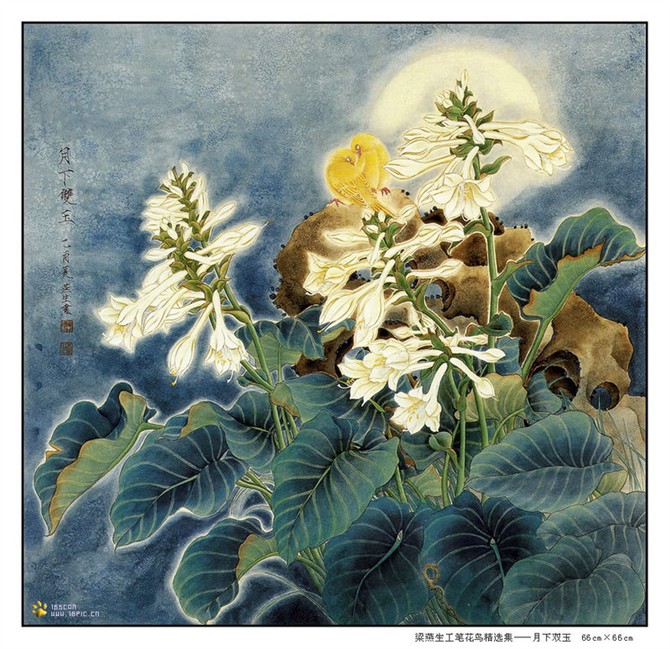 梁燕生工笔花鸟画作品欣赏