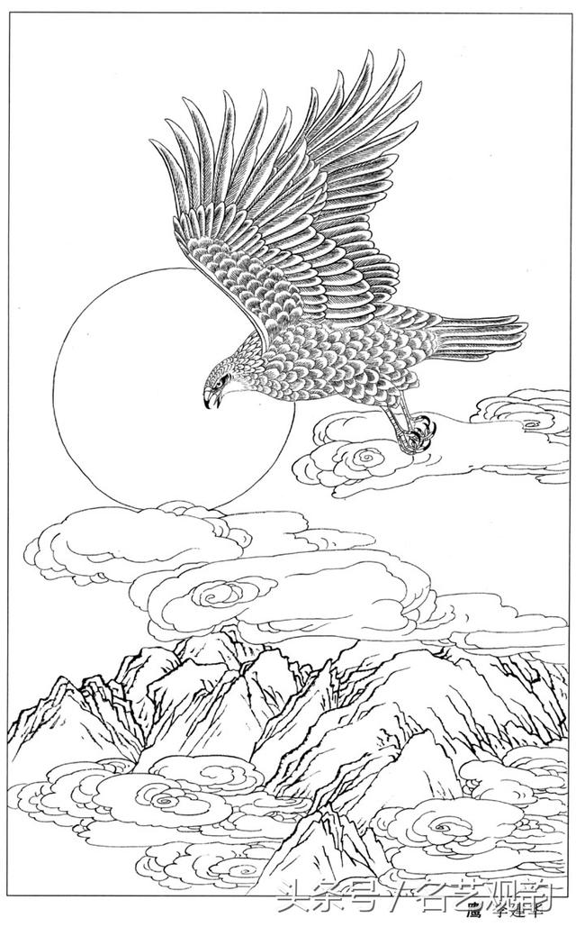 「高清」老鹰白描线描稿36幅,工笔画必备!