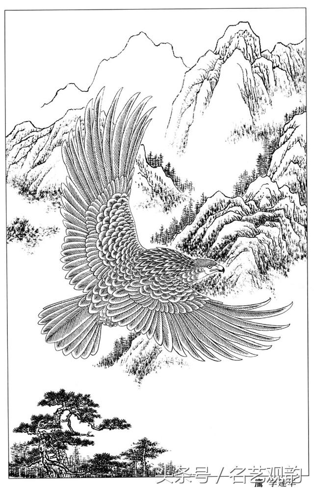 盘鹰绘画 画法图片