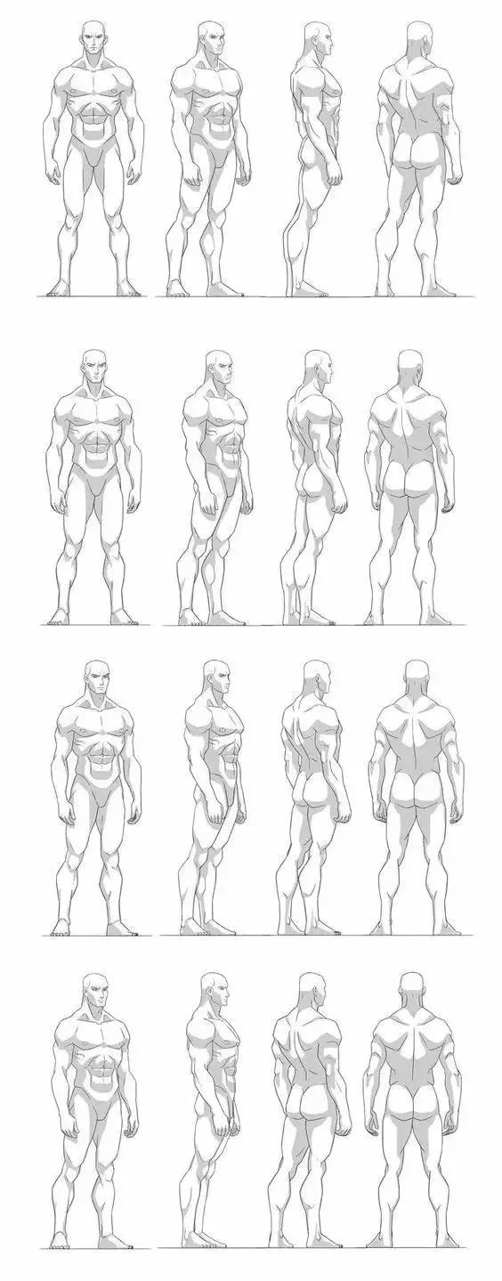 人体素描步骤画法图片
