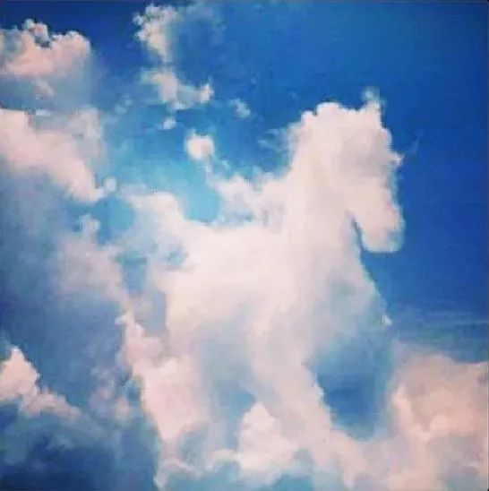 瑞彩祥云!神佛现身!罕见云上动物!