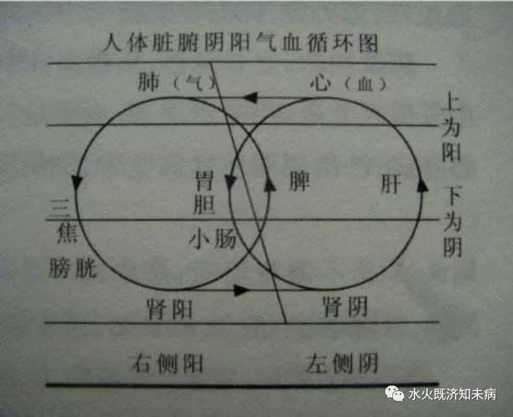 人体气机升降及用药方剂