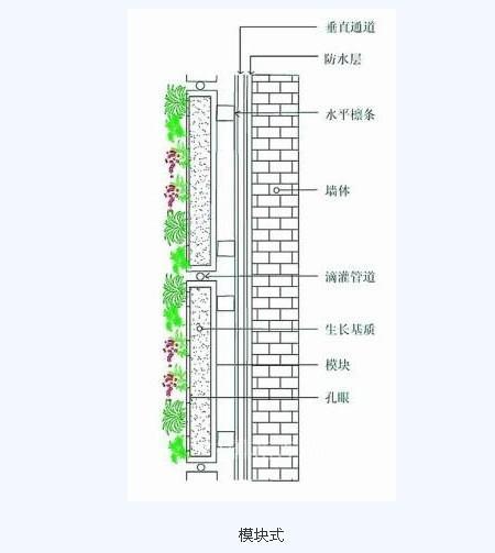 垂直绿化的六种做法
