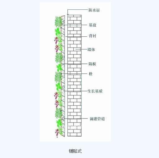 垂直绿化的六种做法
