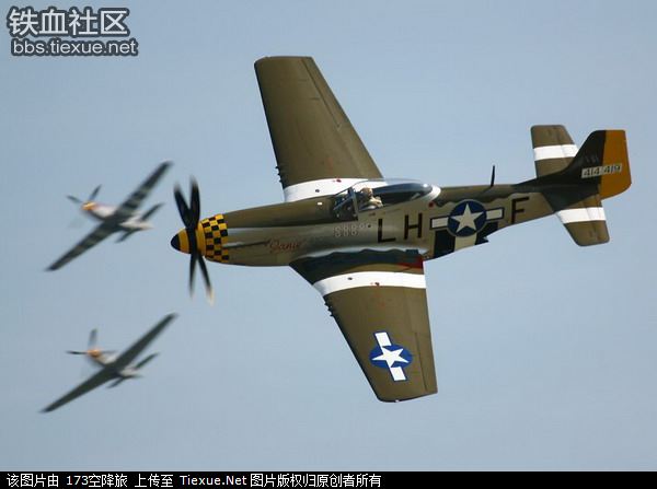 二战美军p51野马战斗机
