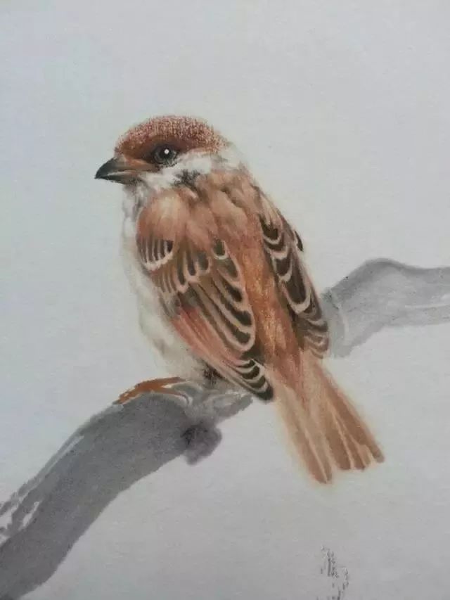 钟真--国画麻雀作画步骤图:钟真,一九七五年生于四川成都.