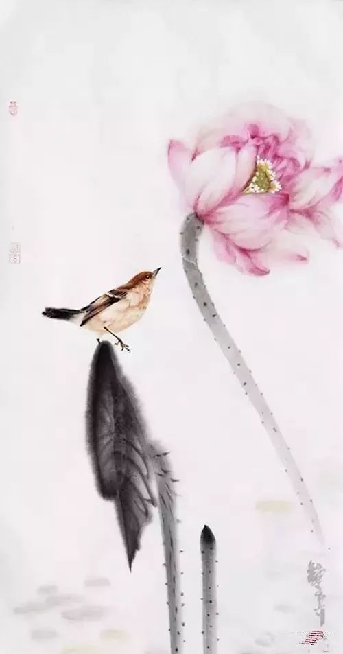 钟真 水墨荷花小鸟,绝美 - 好网角收藏夹