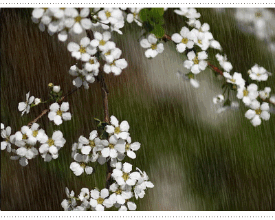 400_320gif 动态图 动图