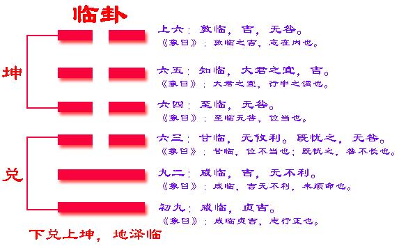易经六十四卦之临卦