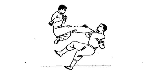 北腿代表戳脚拳技术