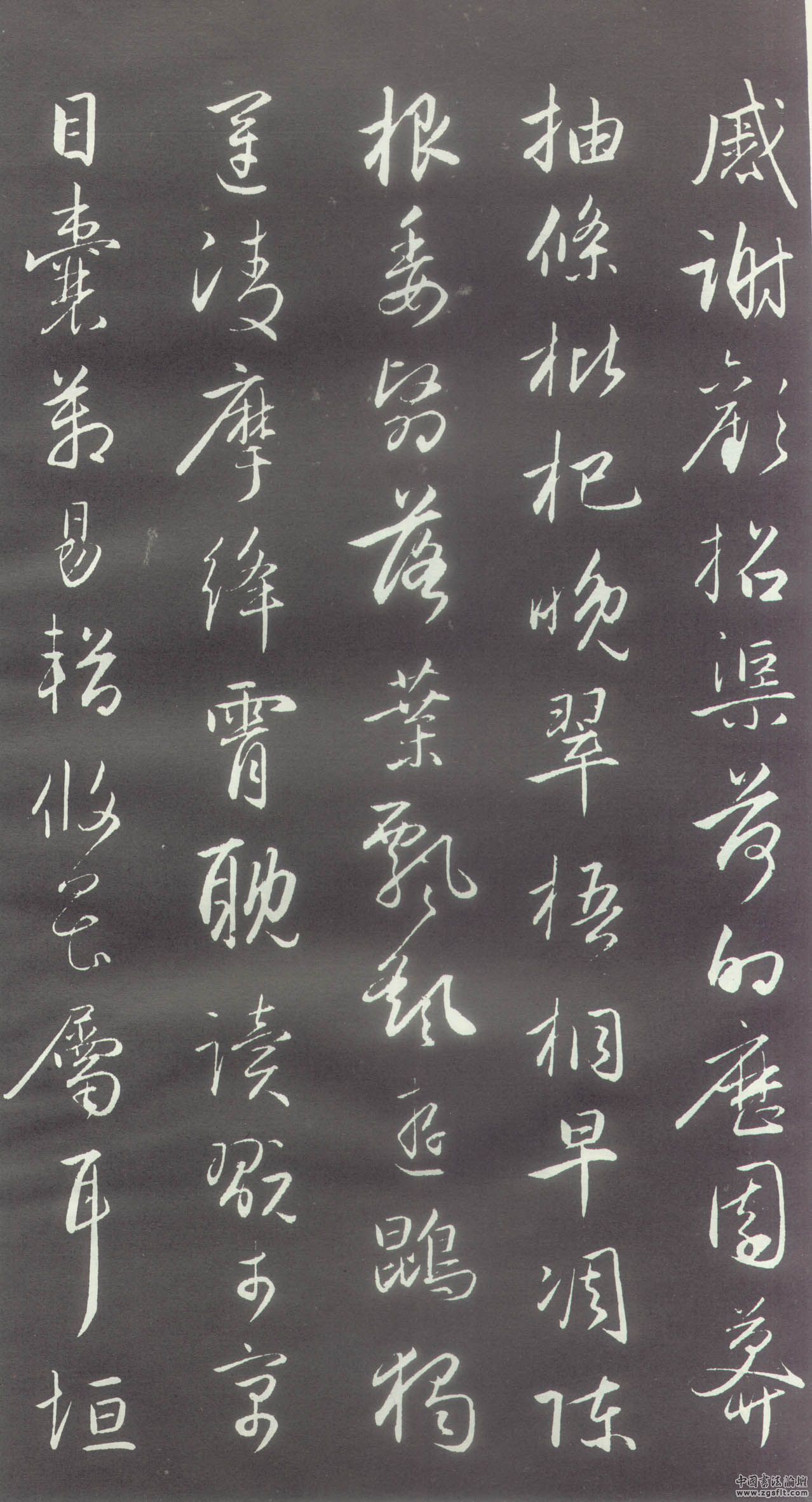 赵体书法赵孟頫行书千字文