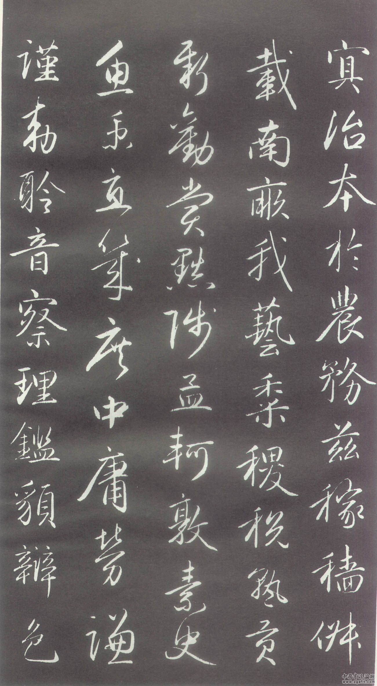 赵体书法赵孟頫行书千字文