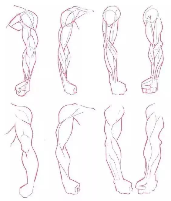 胳膊的线稿 ·//75就要练就扎实的速写功底要想快速提高人物速写