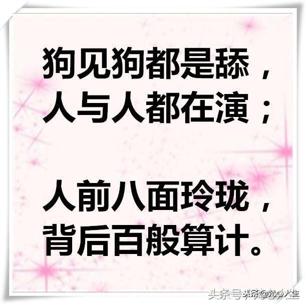 狗见狗那是舔人与人却在演