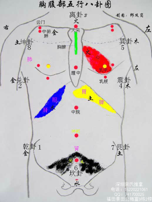 胸腹部河图布数