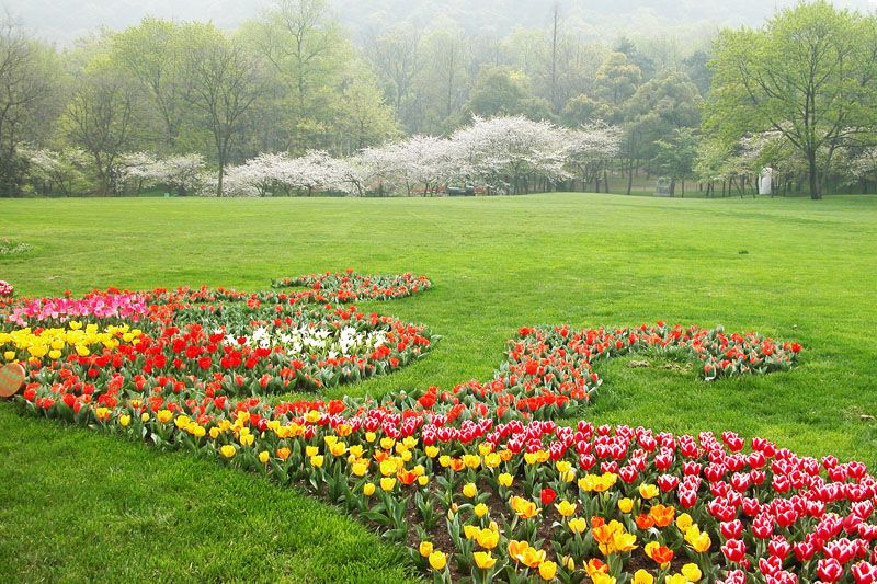 杭州西湖春夏秋冬四季美景