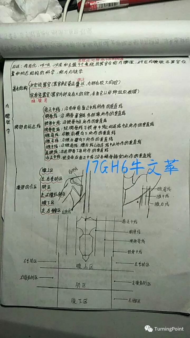 解剖學的部分思維導圖