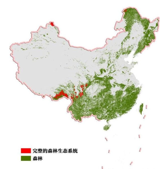中国森林面积变化图图片