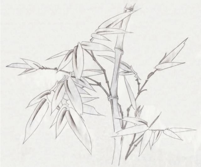 工笔玉簪花和竹子的染色步骤