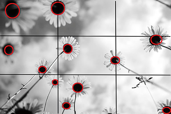 沙滩上散落的石头采用棋盘式构图,使画面丰富,而其中的一棵植物打破了