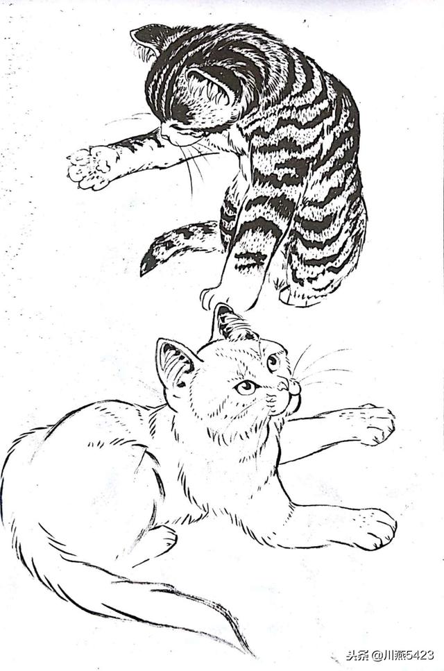 线描中国龙虎虎生威百猫图