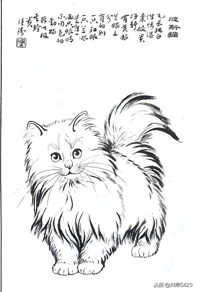 线描中国龙虎虎生威百猫图