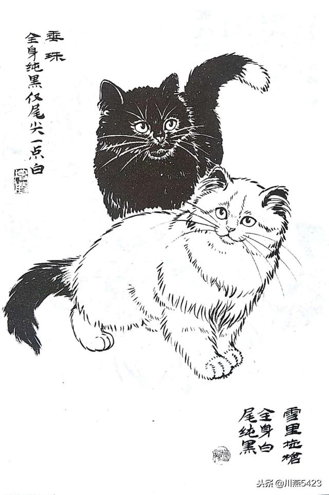线描中国龙虎虎生威百猫图