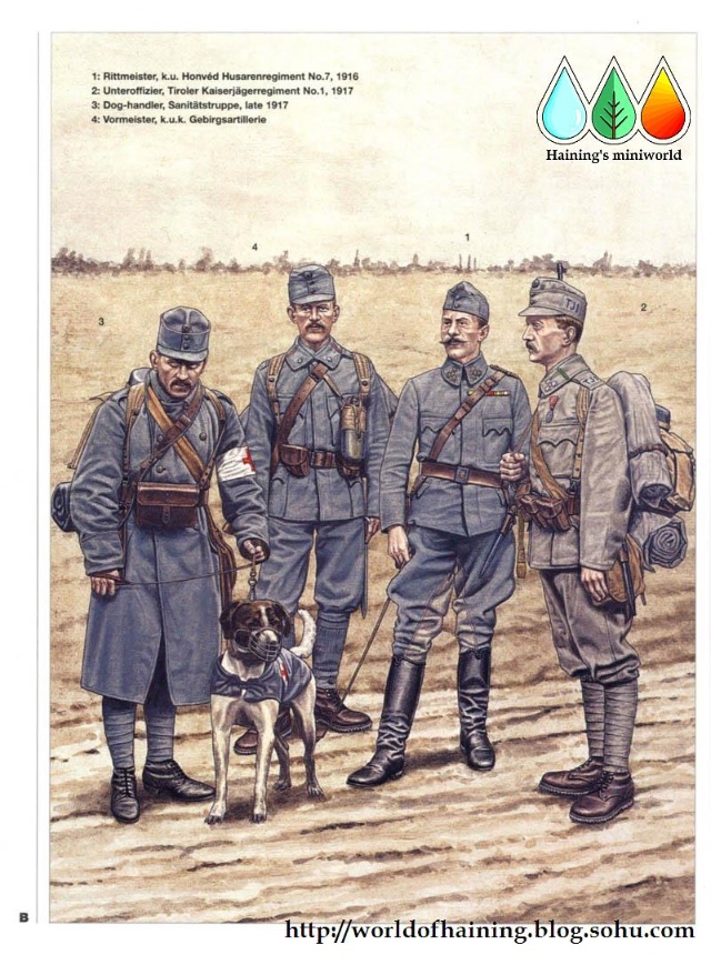 一战奥匈帝国军服图册2